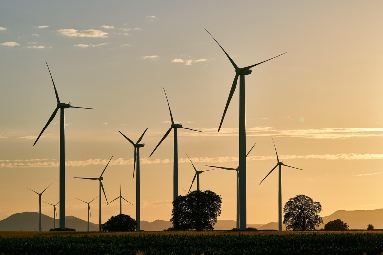 eco travel sustainable nature